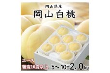 ＜先行受付＞岡山白桃 エース 5～10玉 2kg 岡山県産_桃 白桃 もも モモ 岡山白桃 甘い 果物 くだもの フルーツ デザート 岡山県 津山市 国産 産直 産地直送 贈答 ギフト プレゼント 送料無料【1305711】