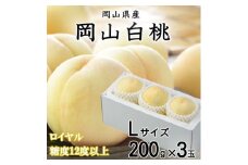 ＜先行受付＞岡山白桃 ロイヤル 3玉×200g (Lサイズ) 岡山県産_桃 白桃 もも モモ 岡山白桃 甘い 果物 くだもの フルーツ デザート 岡山県 津山市 国産 産直 産地直送 贈答 ギフト プレゼント 送料無料【1305716】