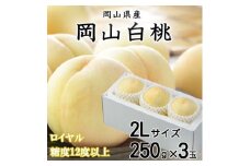 ＜先行受付＞岡山白桃 ロイヤル 3玉×250g(2Lサイズ) 岡山県産【1305721】
