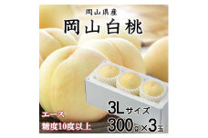 ＜先行受付＞岡山白桃 エース 3玉×300g(3Lサイズ) 岡山県産【1305730】