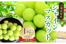 岡山県　吉備高原産　シャインマスカット　1房入り(650g以上)　ご贈答品_ シャインマスカット ぶどう 葡萄 ブドウ 果物 フルーツ 岡山県 津山市 果物 くだもの 人気 おすすめ 送料無料 贈答 ギフト 【1151380】