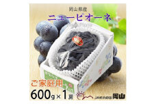 ＜2025年8月発送＞ご家庭用　岡山県産　ピオーネ　600g×1房_ピオーネ ぶどう 葡萄 ブドウ 果物 くだもの フルーツ 甘い 種無し 大粒 岡山県 津山市 家庭用 自宅用 産直 産地直送 送料無料【1409713】