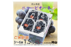 ＜2025年8月発送＞ご家庭用　岡山県産　ピオーネ　1.5kg(3～6房)_ぶどう ピオーネ 葡萄 ブドウ 岡山県産 果物 くだもの フルーツ 種無し 甘い 大粒 岡山県 津山市 産直 産地直送 家庭用 自宅用 送料無料【1409717】