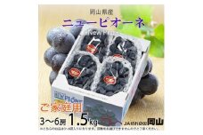 ＜2025年8月より発送＞ご家庭用　岡山県産　ピオーネ　1.5kg(3～6房)_ぶどう ピオーネ 葡萄 ブドウ 岡山県産 果物 くだもの フルーツ 種無し 甘い 大粒 岡山県 津山市 産直 産地直送 家庭用 自宅用 送料無料【1409717】