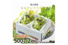 ＜2025年8月より発送予定＞ご家庭用　岡山県産　シャインマスカット　晴王　500g×2房【1409725】