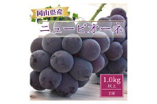＜2025年発送＞岡山県産ニューピオーネ1.0kg以上(2房)【1413100】