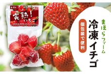 まほらの冷凍イチゴ　個包装で便利【1417196】