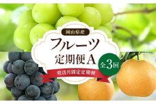＜発送月固定定期便＞A 岡山県産 シャインマスカット(晴王)・あたご梨ほか全3回【4000246】