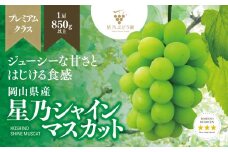 ＜三つ星ブランド＞星乃シャインマスカット プレミアムクラス(岡山県産) 1房×850g以上_ ぶどう 葡萄 ブドウ 果物 フルーツ くだもの 岡山県 津山市 人気 おすすめ 送料無料 贈答 ギフト 【1418920】