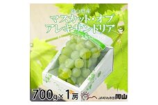 ＜2025年9月発送＞岡山県産　マスカット・オブ・アレキサンドリア　700g×1房_マスカット ぶどう 葡萄 ブドウ 果物 くだもの フルーツ 岡山県 津山市 ギフト プレゼント 産直 産地直送 送料無料【1424426】