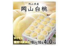 ＜先行受付＞岡山白桃 ロイヤル 8～16玉 4.0kg 岡山県産【1424429】