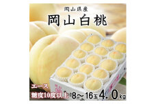 ＜先行受付＞岡山白桃 エース 8～16玉 4.0kg 岡山県産_桃 白桃 もも モモ 岡山白桃 甘い 果物 くだもの フルーツ デザート 岡山県 津山市 国産 産直 産地直送 贈答 ギフト プレゼント 送料無料【1424434】