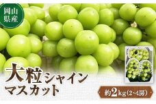 ＜2025年10月より発送＞大粒シャインマスカット 約2kg(2～4房)【1425198】
