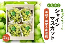 ＜2025年度発送分＞早起き農家の直送便　わけありシャインマスカット2kg【1428073】