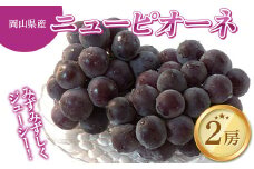＜岡山県産＞みずみずしくジューシー大粒 ニューピオーネ 2房セット (1～1.5kg)【1433058】