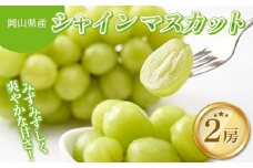 ＜岡山県産＞みずみずしく爽やかな甘さ!朝摘みシャインマスカット 2房セット (1.2～1.5kg)_シャインマスカット ぶどう 葡萄 ブドウ 岡山産 果物 くだもの フルーツギフト フルーツ 贈答用 果物セット 岡山県 津山市 産直 産地直送 送料無料【1433060】