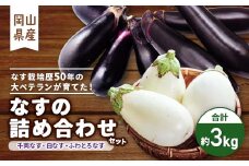 2024年発送　食卓の新しい定番!なす栽培歴50年の大ベテランが育てた”なすの詰め合わせセット”【1433408】