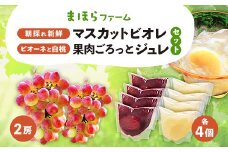 ＜2025年度発送分＞朝採れ新鮮マスカットビオレ2房&ピオーネと白桃果肉ごろっとジュレセット_桃 ぶどう 葡萄 ブドウ もも マスカット 果物 くだもの フルーツ ジュレ ゼリー 岡山県 津山市 送料無料【1435800】