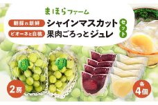 ＜2025年度発送分＞朝採れ新鮮シャインマスカット2房&ピオーネと白桃果肉ごろっとジュレセット_ シャインマスカット ふるさと納税 桃 ぶどう 葡萄 ブドウ ピオーネ 白桃 もも モモ 果物 フルーツ くだもの ジュレ セット 岡山県 津山市 送料無料 【1435799】