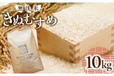 令和5年産 きぬむすめ 10kg＜無洗米＞牡蠣殻のミネラルで育ったお米【1434426】