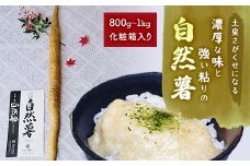 ＜先行受付9月上旬～順次＞土臭さがくせになる濃厚な味と強い粘りの自然薯　800g～1kg化粧箱入り【1419012】