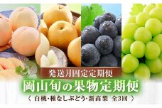 ＜発送月固定定期便＞岡山旬の果物定期便(白桃・種なしぶどう・新高梨) 全3回_桃 ぶどう 梨 もも 白桃 葡萄 ブドウ なし 食べ比べ 果物 くだもの フルーツ 定期便 岡山県 津山市 産地直送 送料無料【4005667】