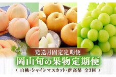 ＜発送月固定定期便＞岡山旬の果物定期便(白桃・シャインマスカット・新高梨) 全3回【4005668】