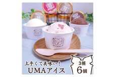 上手くて美味い UMA アイスクリーム セット　バニラ　いちご　チョコ各2個　90ml　6個セット【1454620】