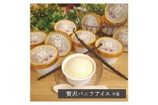 スイーツ専門店の作るこだわりアイスクリーム6個セット　バニラアイス　各90ml入り_アイスクリーム アイス バニラアイス バニラ ミルキーバニラ 6個 セット スイーツ デザート 岡山県 津山市 冷凍 ギフト 送料無料【1455004】