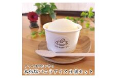 アイス専門店の作るこだわりアイスクリーム6個セット　塩バニラアイス　各120ml入り【1455522】