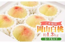岡山白桃(ご家庭用)5～7玉入り　＜2024年7月頃より発送予定＞【1460786】