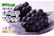 岡山県産オーロラブラック(ご家庭用)＜2024年8月中旬以降発送予定＞【1461035】