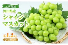 岡山県産シャインマスカット(ご家庭用)＜2025年9月中旬以降発送予定＞_シャインマスカット ぶどう 葡萄 ブドウ マスカット 種なし 果物 くだもの フルーツ 岡山県 津山市 産直 産地直送 家庭用 自宅用 送料無料【1461027】