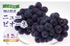 岡山県産ニューピオーネ(家庭用)＜2024年8月中旬以降発送予定＞【1461039】