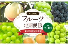 ＜発送月固定定期便＞岡山県産 フルーツ定期便B全5回【4006680】