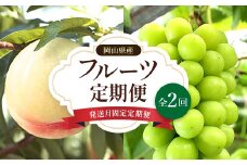 ＜発送月固定定期便＞岡山県産 白桃・シャインマスカット(晴王)全2回_ シャインマスカット もも 桃 ぶどう 葡萄 ブドウ 果物 くだもの 訳なし マスカット フルーツ 人気 美味しい 岡山 定期便 送料無料 【4006681】