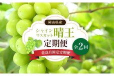 ＜発送月固定定期便＞岡山県産 シャインマスカット『晴王』定期便全2回【4007310】