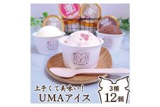 上手くて美味い UMA アイスクリーム セット　バニラ　いちご　チョコ各4個　90ml 12個セット【1473614】