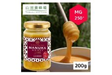 ＜毎月定期便＞マヌカ蜂蜜(クリームタイプ)MG250+(22178)全12回【4008987】