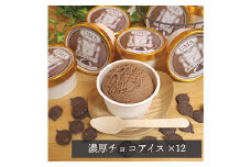 スイーツ専門店の作るこだわりアイスクリーム12個セット　チョコアイス　各90ml入り_ アイス アイスクリーム 濃厚 ショコラ チョコアイス チョコレート セット 詰め合わせ スイーツ デザート 岡山県 津山市 送料無料 【1480515】