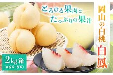 ＜2025年先行予約＞2025年7月中旬頃より発送予定・岡山の白桃・白鳳(2kg箱)【1479360】