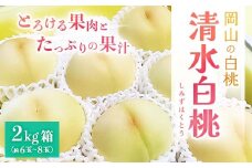 ＜2025年先行予約＞2025年7月下旬頃より発送予定・岡山の白桃・清水白桃(2kg箱)_桃 白桃 清水白桃 もも モモ 甘い 果物 くだもの フルーツ デザート 岡山県 津山市 国産 産直 産地直送 ギフト 贈り物 送料無料【1484602】