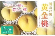 ＜2025年先行予約＞8月上旬頃より発送・岡山県産・マンゴーの様な黄色い桃・黄金桃(2kg箱)【1484604】