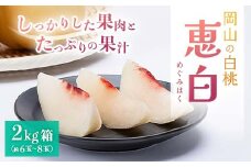 ＜2025年先行予約＞2025年9月上旬頃より発送予定・岡山の白桃・恵白(2kg箱)【1484605】