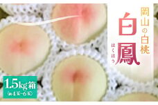 ＜2025年先行予約＞2025年7月中旬頃より発送予定・岡山の白桃・白鳳(1.5kg箱)【1578640】
