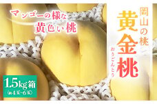 ＜2025年先行予約＞8月上旬頃より発送・岡山県産・マンゴーの様な黄色い桃・黄金桃(1.5kg箱)【1580283】