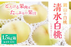 ＜2025年先行予約＞2025年7月下旬頃より発送予定・岡山の白桃・清水白桃(1.5kg箱)_ 桃 白桃 もも モモ 甘い 清水白桃 果物 くだもの フルーツ デザート 産直 産地直送 岡山県 津山市 贈答 ギフト プレゼント 送料無料 【1579311】