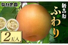 《2025年9月中旬より順次発送》新高梨 ふわり　2玉【1619637】