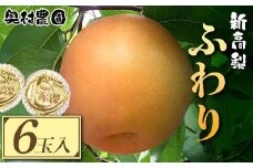《2025年9月中旬より順次発送》 新高梨 ふわり(6玉入り)【1619639】