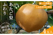 2025年11月下旬より順次発送予定　あたご梨 ふわり(5玉入り)【1626522】